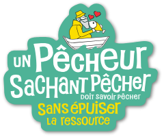 Un pêcheur sachant pêcher